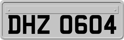 DHZ0604