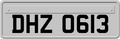 DHZ0613
