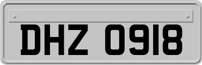 DHZ0918