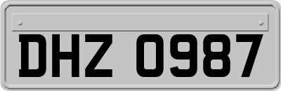 DHZ0987