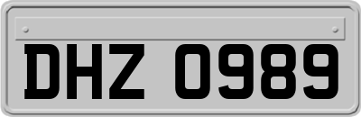 DHZ0989