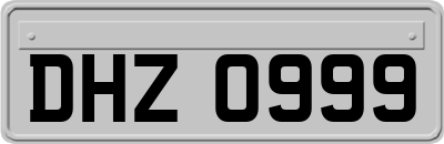 DHZ0999