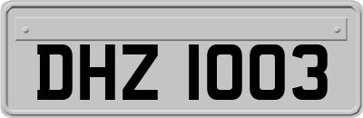 DHZ1003