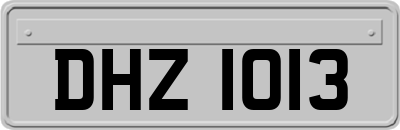 DHZ1013