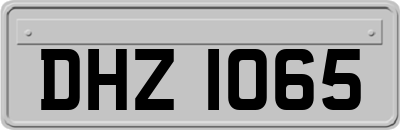 DHZ1065