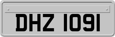DHZ1091