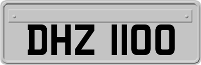 DHZ1100