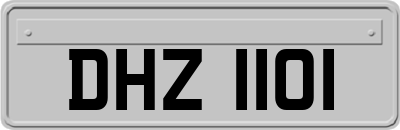 DHZ1101