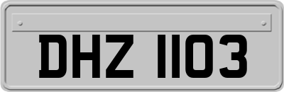 DHZ1103