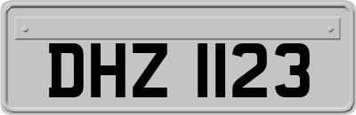 DHZ1123
