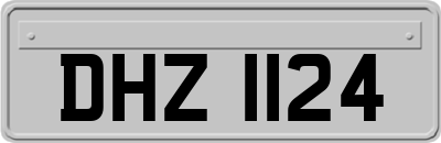 DHZ1124