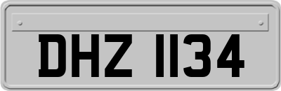 DHZ1134