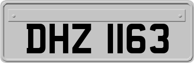 DHZ1163