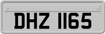 DHZ1165