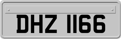 DHZ1166