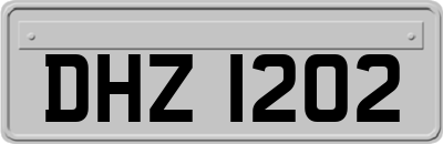 DHZ1202