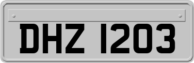 DHZ1203