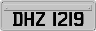 DHZ1219