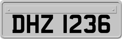DHZ1236