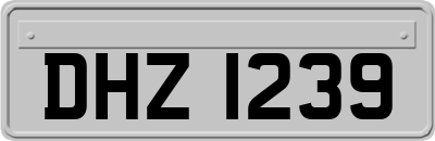 DHZ1239