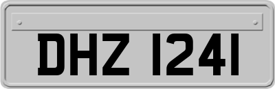 DHZ1241