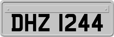 DHZ1244