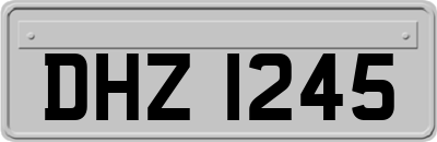 DHZ1245