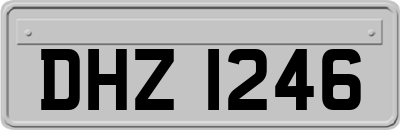 DHZ1246