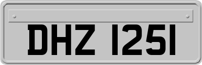DHZ1251