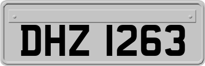 DHZ1263