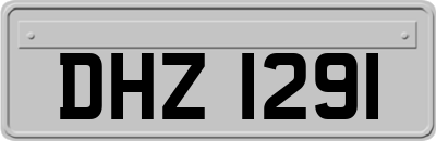 DHZ1291