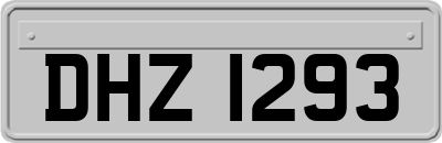 DHZ1293