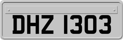 DHZ1303