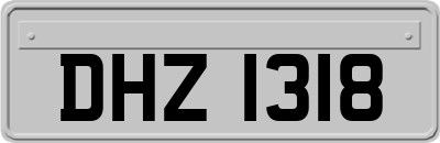DHZ1318