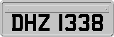 DHZ1338
