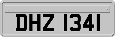 DHZ1341
