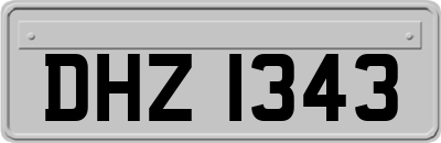 DHZ1343