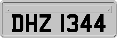 DHZ1344