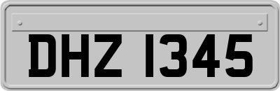 DHZ1345