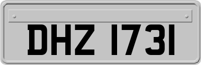 DHZ1731