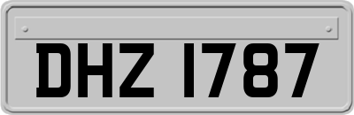DHZ1787