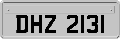DHZ2131