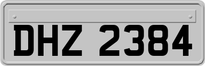 DHZ2384