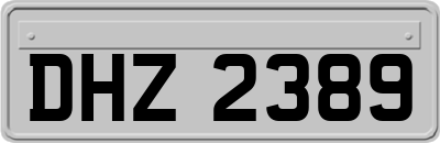 DHZ2389