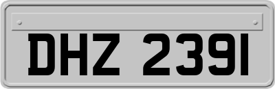 DHZ2391