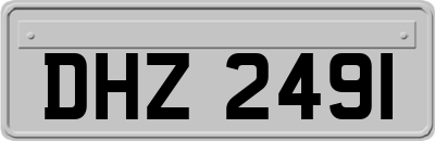 DHZ2491