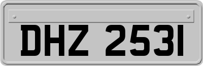 DHZ2531