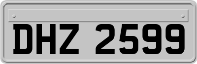 DHZ2599