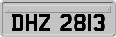 DHZ2813