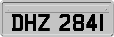 DHZ2841
